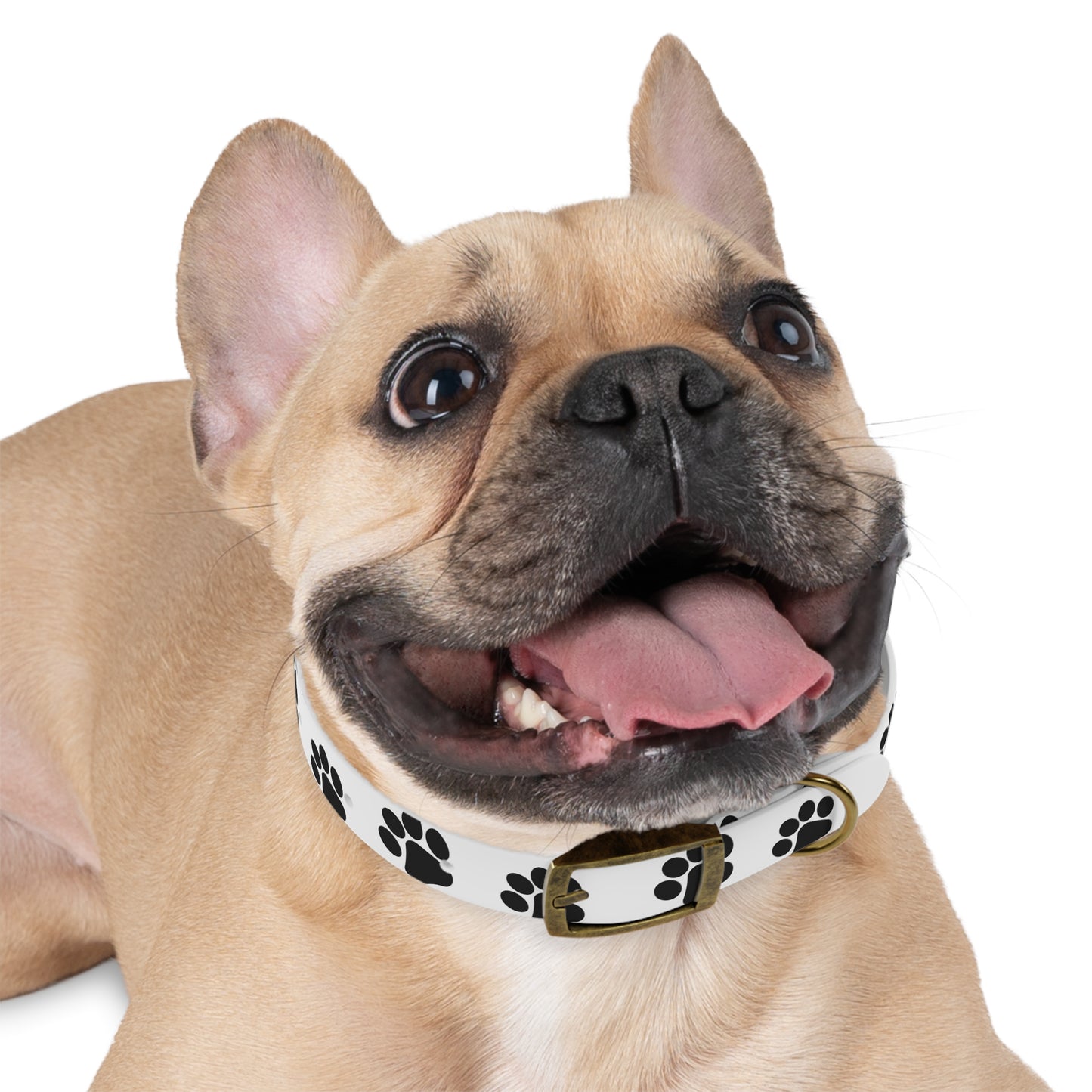 Premium Adjustable Dog Collar – Durable, Comfortable, and Stylish