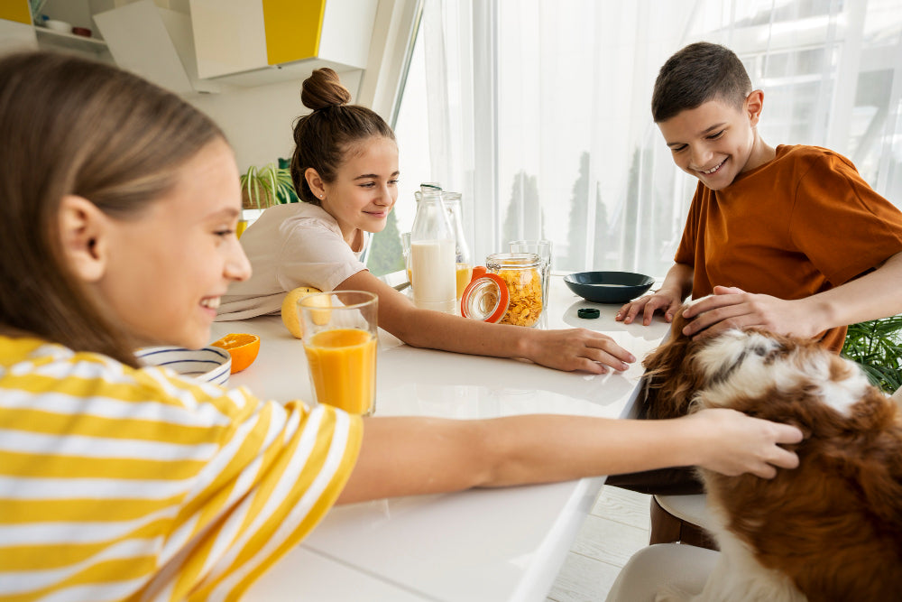 How to Create the Perfect Cozy Space for Your Pet at Home